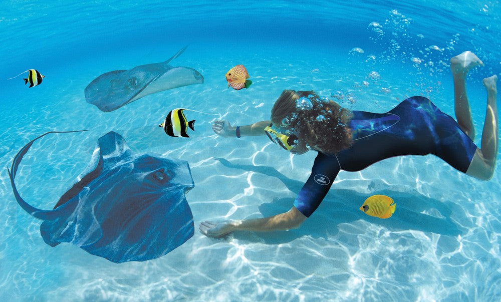 Caño Island Snorkel Tour