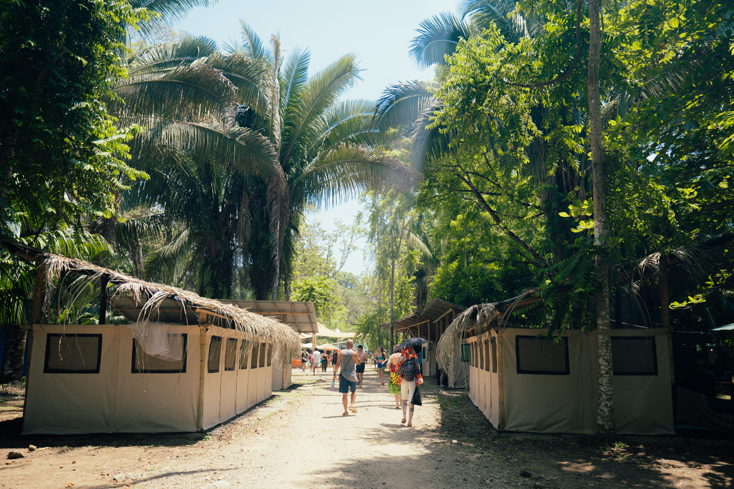 Standard Suite (La Sombra)